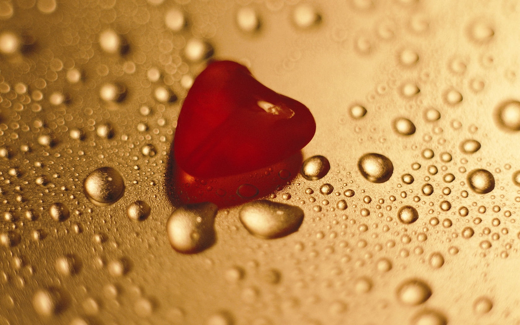 macro photography of red ruby pendant