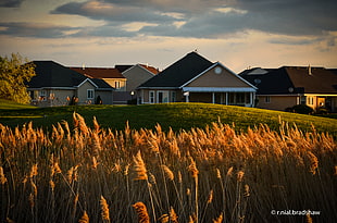 photo of a brown house photo during sunset