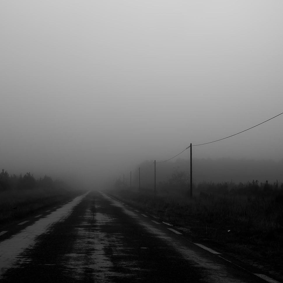 gray concrete road, landscape, mist, monochrome, road HD wallpaper