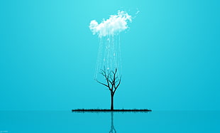 silhouette of bare tree illustration, clouds, trees, digital art, blue background