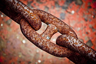 brown mariner chain