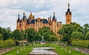 brown and black castle, palace, Schwerin Palace, Germany
