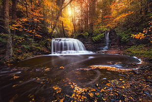 waterfalls at daytime, photography, nature, landscape, fall