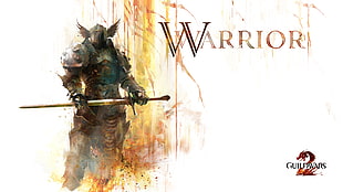 Guild Wars 2 game poster