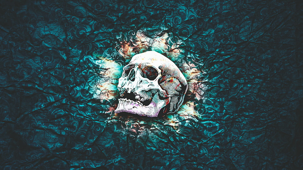white and teal skull painting, skull, skull and bones, abstract, pattern HD wallpaper