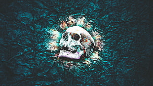 white and teal skull painting, skull, skull and bones, abstract, pattern
