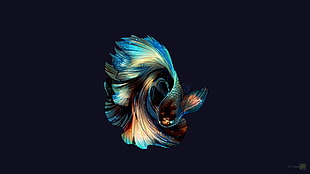 blue, brown, and beige siamese fighting fish, fish, photo manipulation HD wallpaper