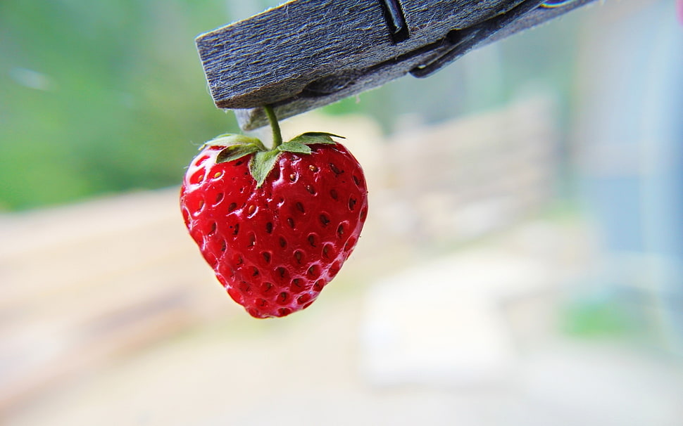 red strawberry hanging on wooden clothespin HD wallpaper