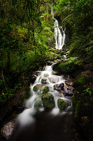 photo of nature falls on rain forest during day time HD wallpaper