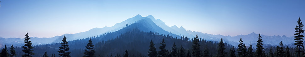 trees skyline, Far Cry 5, mountains, blue, video games HD wallpaper