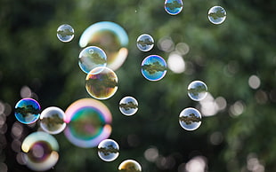 bubbles, bubbles