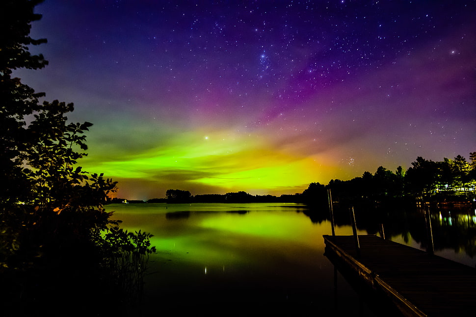 bed of water during night time HD wallpaper