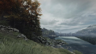 brown trees, The Vanishing of Ethan Carter, video games, landscape HD wallpaper