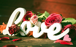 white Love cutout decor, heart, flowers, typography, love