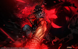 Akuma illustration, Akuma, Street Fighter, Capcom HD wallpaper