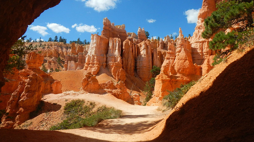 photo of canyons, nature, canyon HD wallpaper