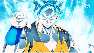 Goku Super Saiyan Blue illustration HD wallpaper