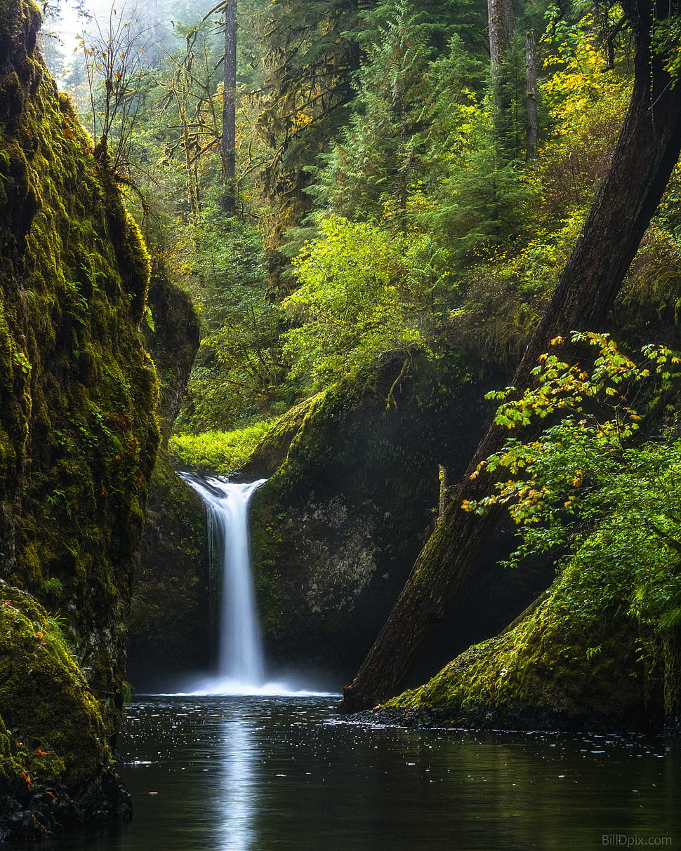 water falls during daytime HD wallpaper