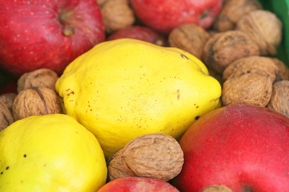 brown walnuts and red apples HD wallpaper