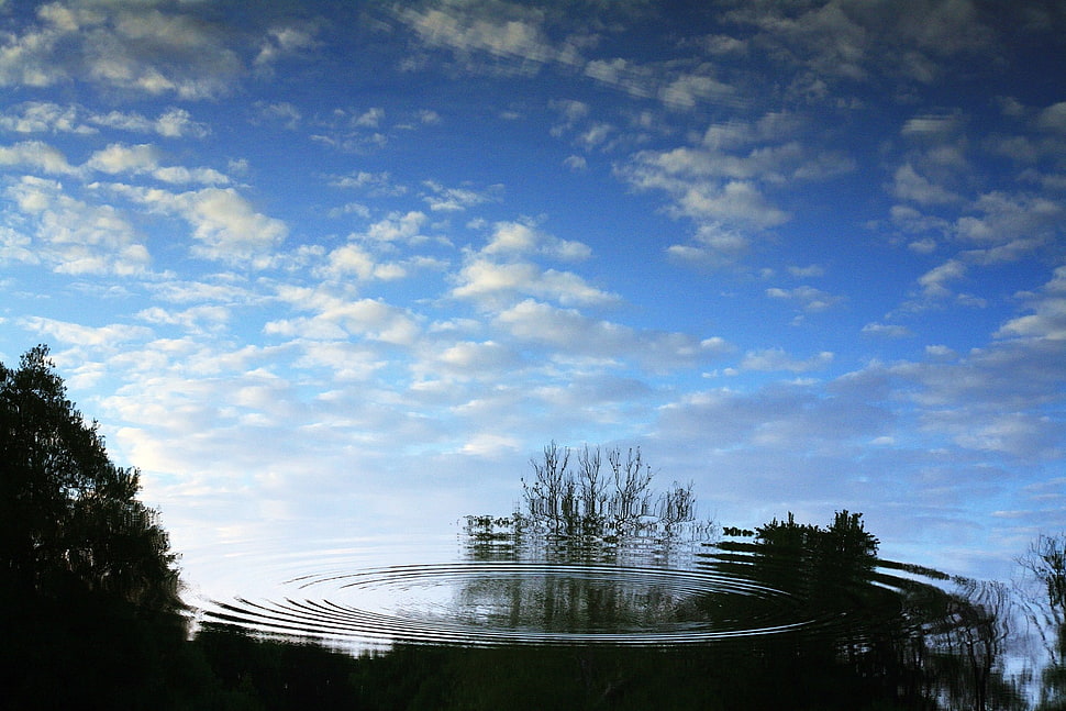 river reflection, blue, clouds, trees, water HD wallpaper