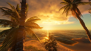 digital painting of palm trees near beach, landscape, sunset, beach, sky HD wallpaper