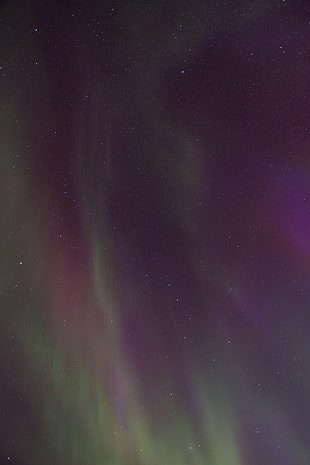 low angle photo of Aurora Boriales HD wallpaper