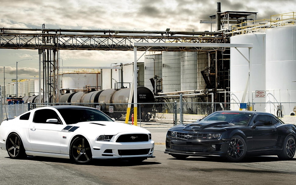 two white and black cars, Ford Mustang, car, Chevrolet Camaro HD wallpaper