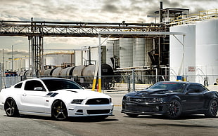 two white and black cars, Ford Mustang, car, Chevrolet Camaro