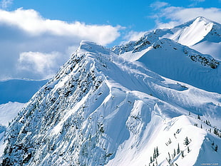 mountain range covered with snows, mountains