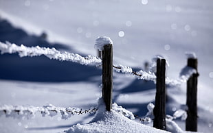 Stakes,  Snow,  Protection,  Wire HD wallpaper