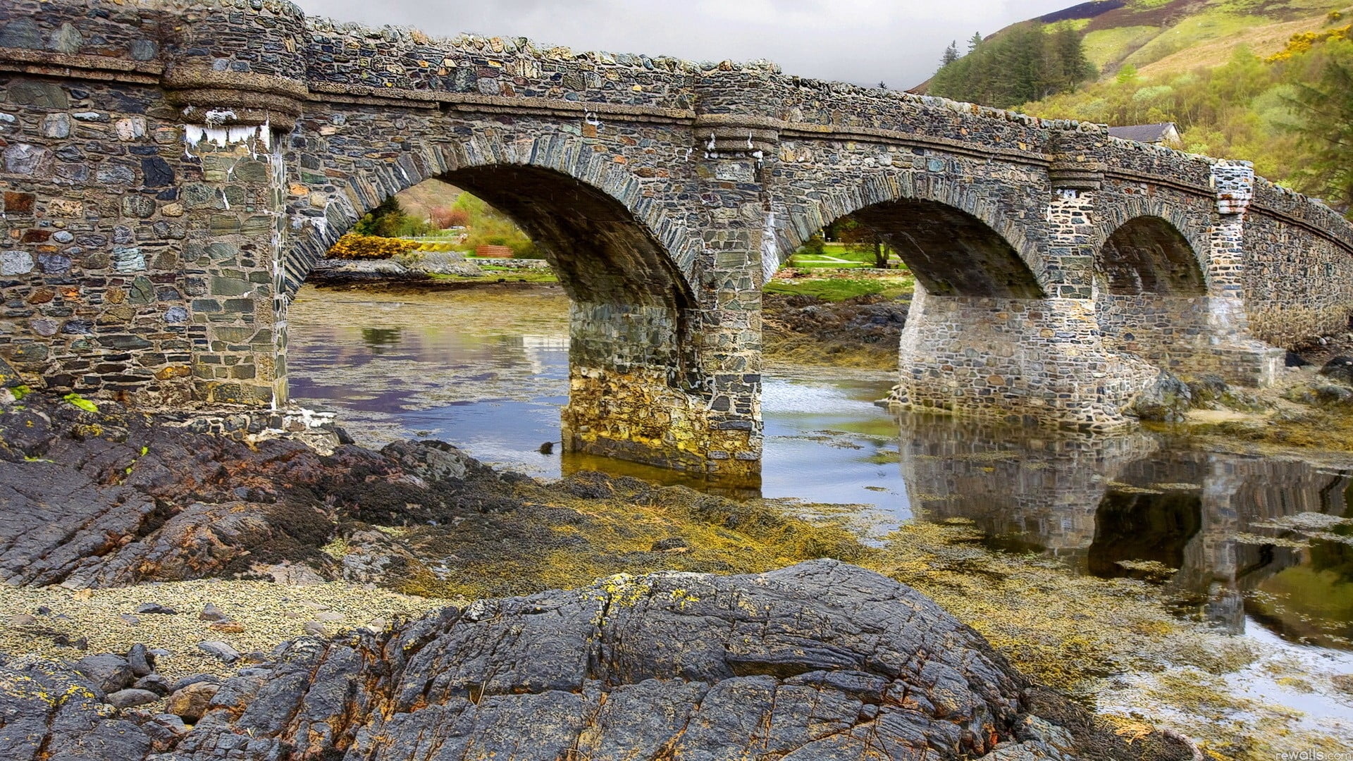 gray concrete bridge on body of water