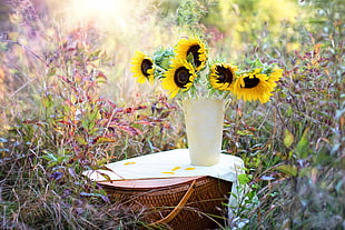 sunflowers in vase surrounded by leafs