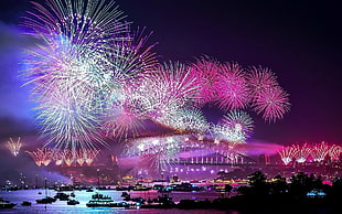 fireworks display at nighttime, fireworks, night, cityscape, boat