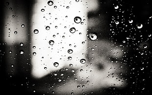 water droplets, water drops, monochrome, water on glass