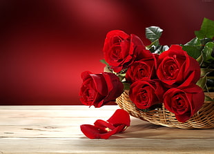 red roses on white brown wicker basket