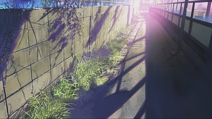 gray concrete wall, anime, 5 Centimeters Per Second, Makoto Shinkai 