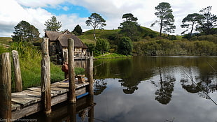 brown wooden dock, nature, landscape, New Zealand, Hobbiton