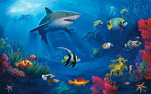 gray shark illustration