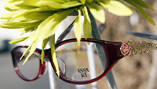 closeup photo of brown framed Anna Sui eyeglasses