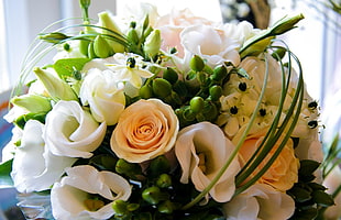 white and beige roses