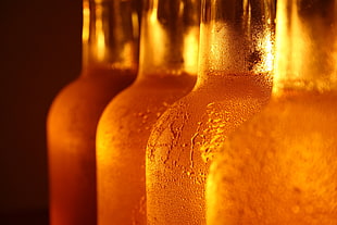 four clear glass bottles with orange liquids HD wallpaper