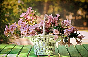pink flowers on white wicker basket