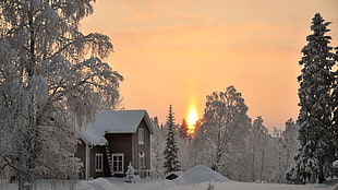 2-storey house, winter