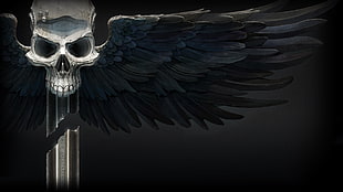 skull and black wing wall paper, Warhammer 40,000, skull, Space Hulk: Deathwing