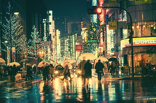 people walking on street with umbrella during daytime, people, rain, Japan HD wallpaper