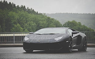 black Lamborghini Gallardo coupe, Lamborghini