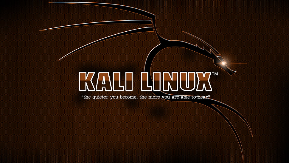 Kali Linux text, Kali Linux HD wallpaper