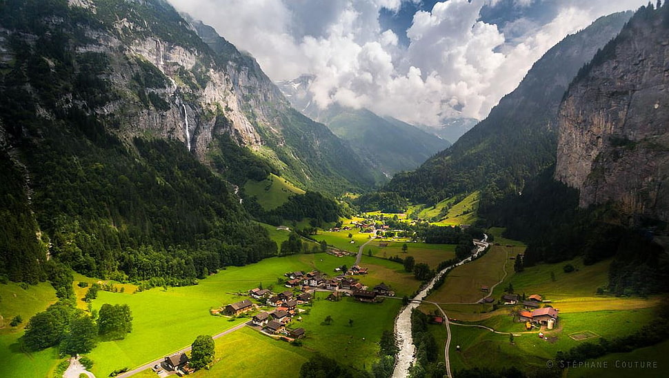 green leafed trees, valley HD wallpaper