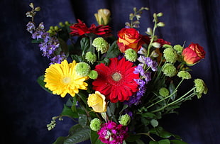 micro photography of multi-colored petaled flower arrangements