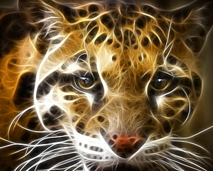 jaguar optical digital wallpaper HD wallpaper